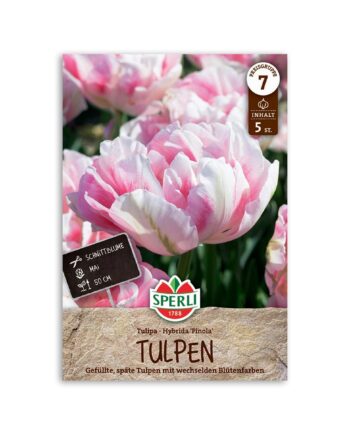 Tulipan "Finola" - 5 løg