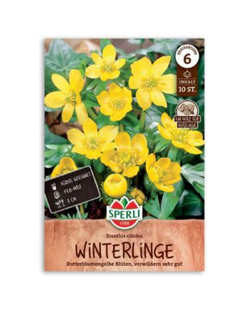 Erantis "Eranthis cilicica" - 10 løg