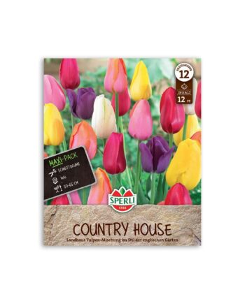 Tulipan blanding "Country House" - 12 løg