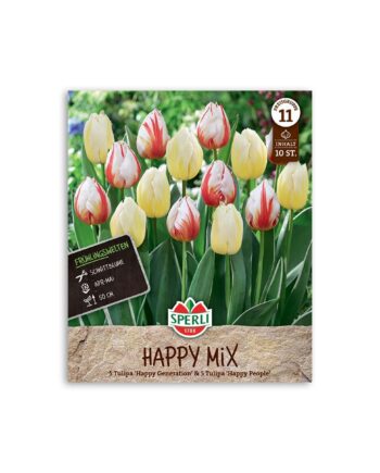 Tulipan blanding "Happy Mix" - 10 løg