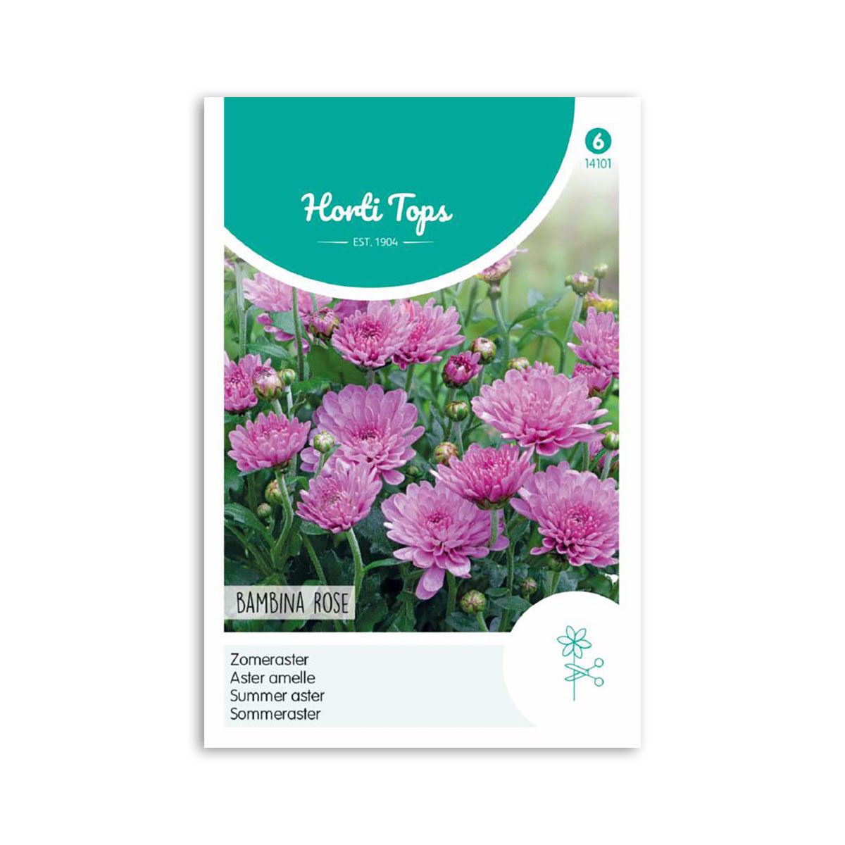 Sommer Asters frø " Bambina Rose" - Horti Tops