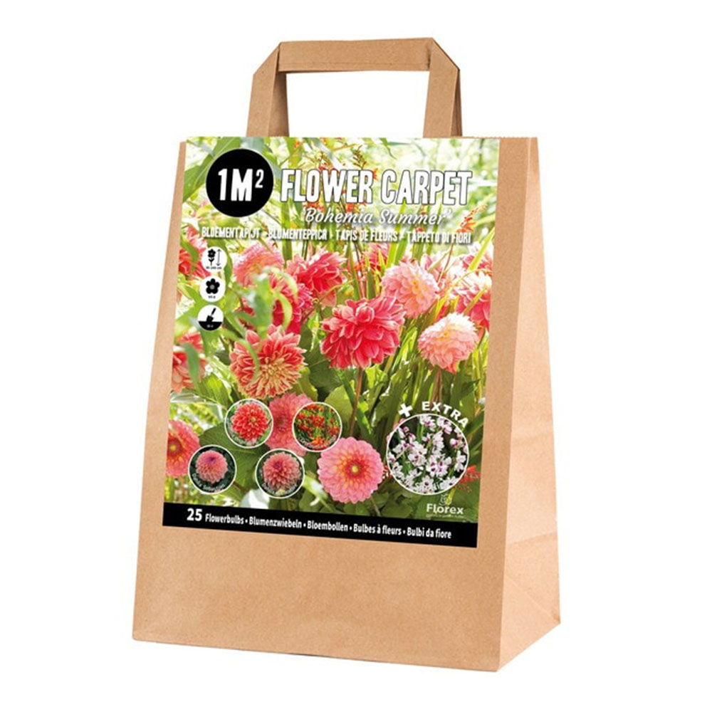 Blandede blomsterløg, Bohemian summer - 1 m2 haveluksus