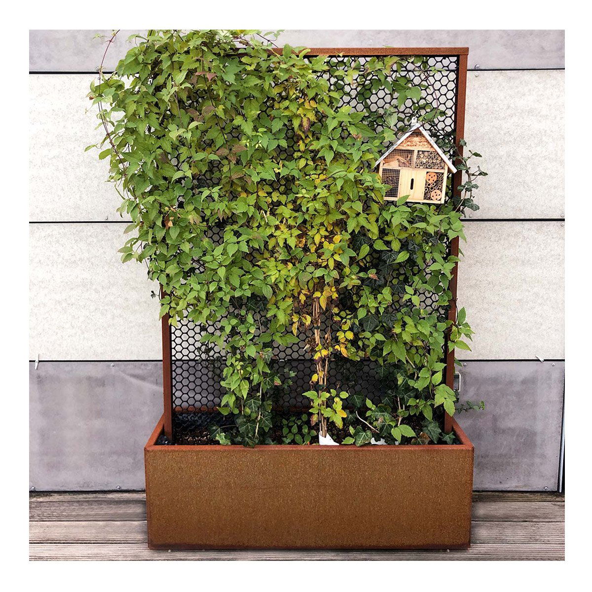Land Modern  Plantekasse med højt espalier i Corten
