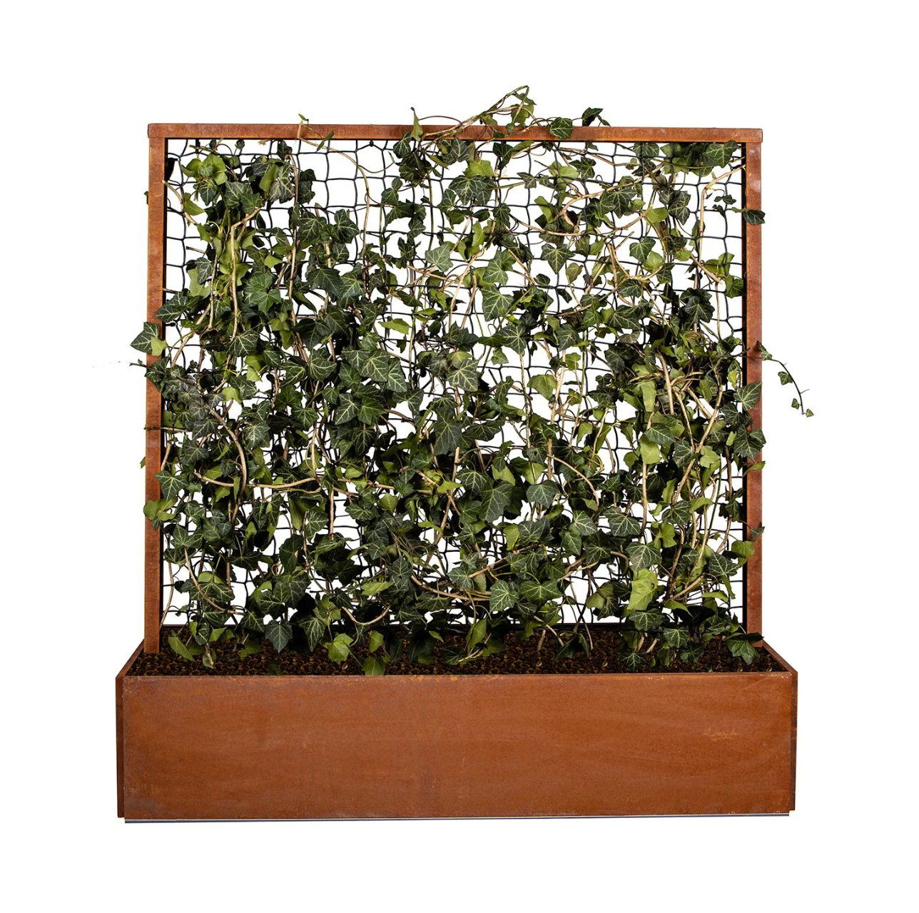 Land Modern  Plantekasse med espalier i Corten - 180 cm