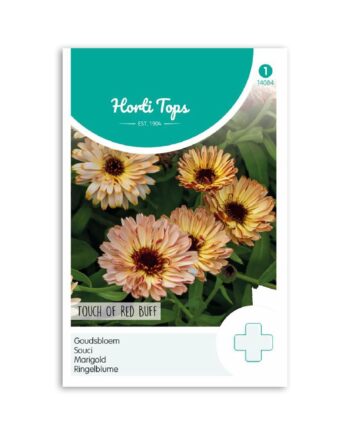 Morgenfrue frø "Touch Of Red Buff" - Horti Tops