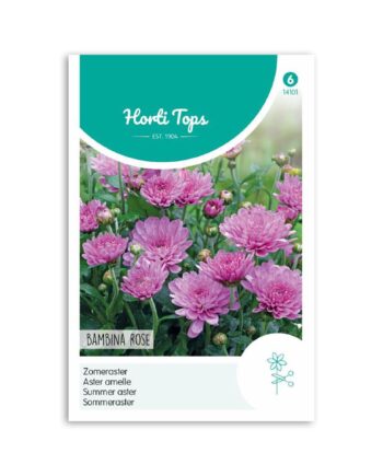 Sommer Asters frø " Bambina Rose" - Horti Tops