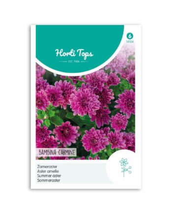 Sommer Asters frø "Bambina Carmine" - Horti Tops
