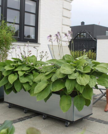 Bundplade med hjul, 40 x 120 cm, galvaniseret jern