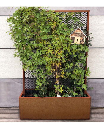 Land Modern  Plantekasse med højt espalier i Corten