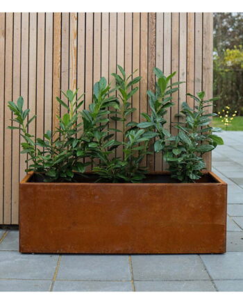 Land Modern  Aflang plantekasse i Corten 80 x 120 x 80cm høj (Stablet)