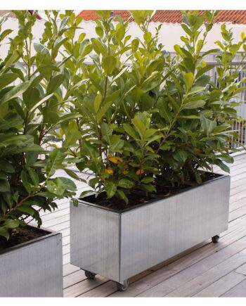 Land Modern  Aflang plantekasse i galvaniseret stål på hjul - 80 x 120 cm