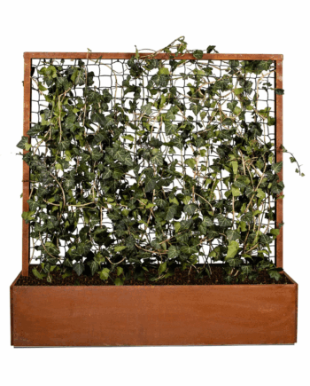 Land Classic - Højbed med espalier - Galvaniseret jern