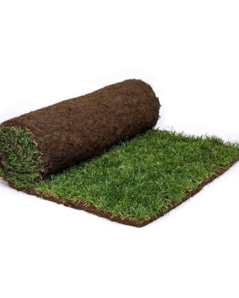 Rullegræs - pris per m2